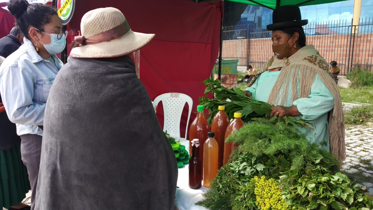 Salud socializa la importancia de la medicina tradicional para combatir el COVID-19