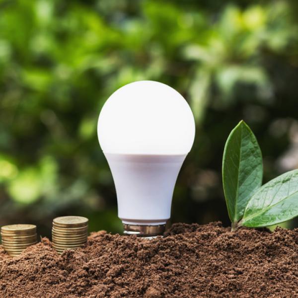 Ministerio de Hidrocarburos y Energías promueve uso de luminarias LED por sus ventajas técnicas, económicas y ambientales