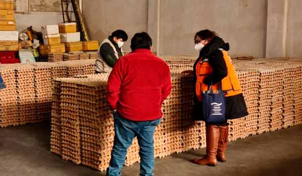 Tarija: Senasag comisa 6.000 unidades de huevo por riesgo sanitario