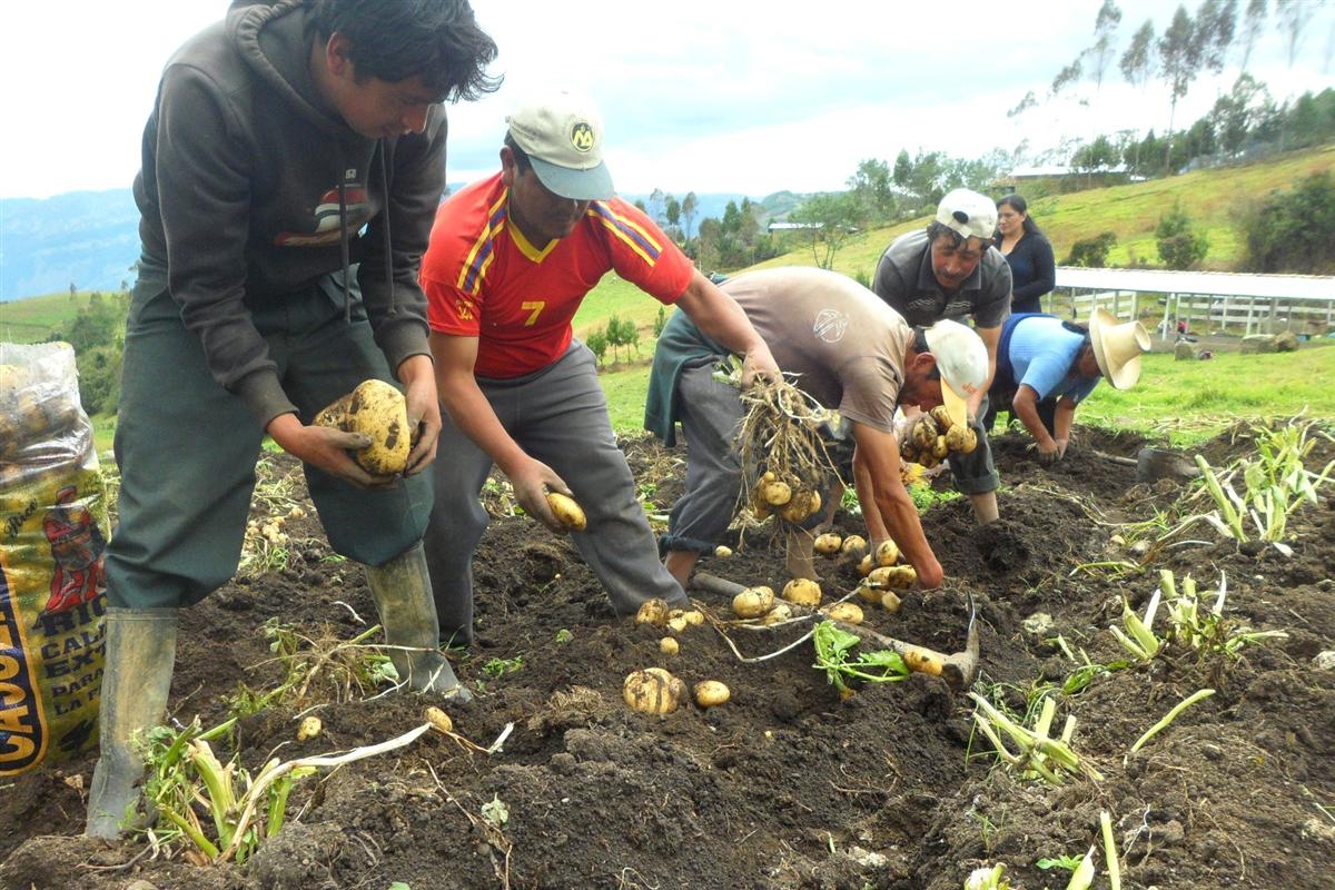 Gobierno prevé invertir más de Bs 26 millones para reactivar el agro
