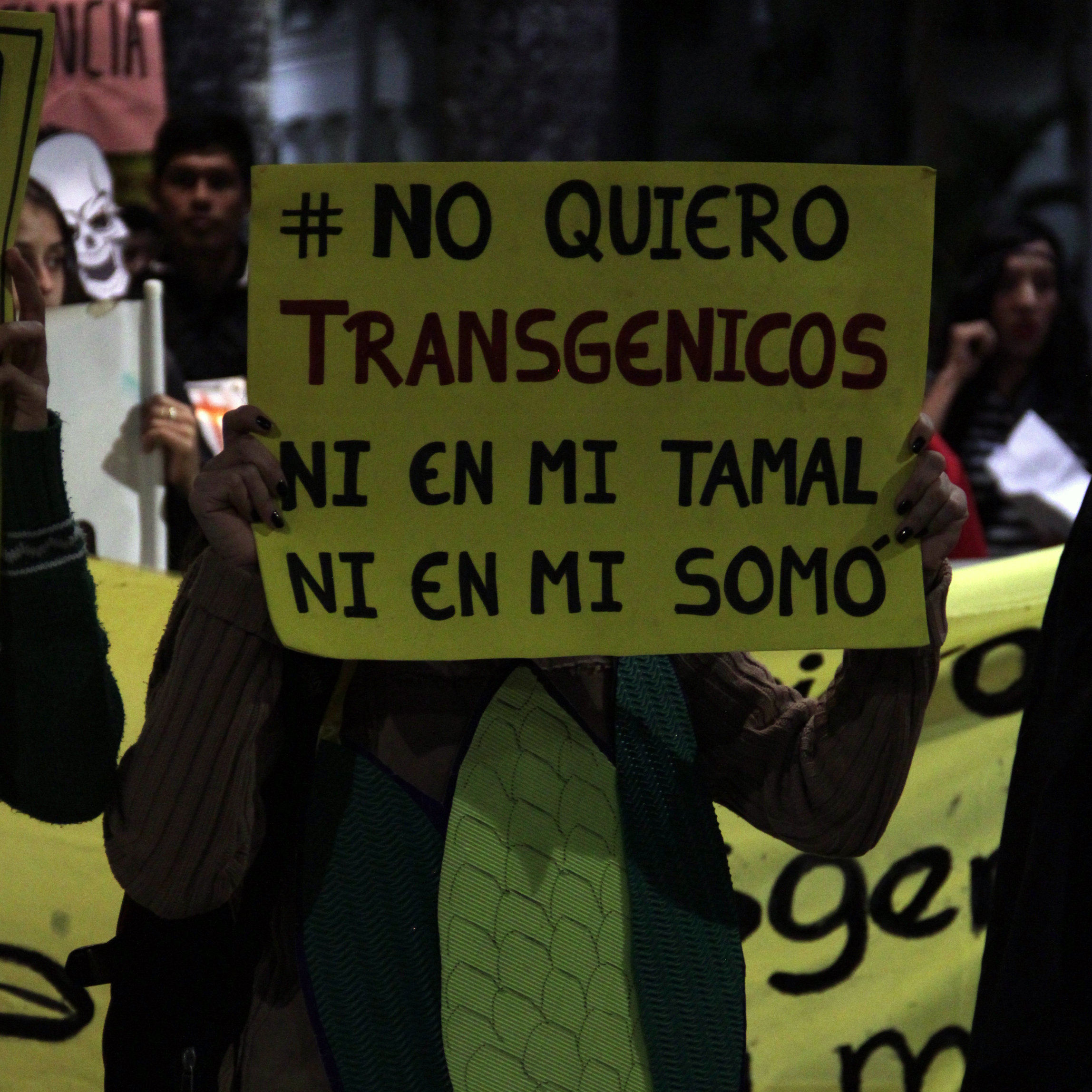 Gobierno abroga decreto supremo del régimen de Áñez para la producción de alimentos transgénicos (amplia)