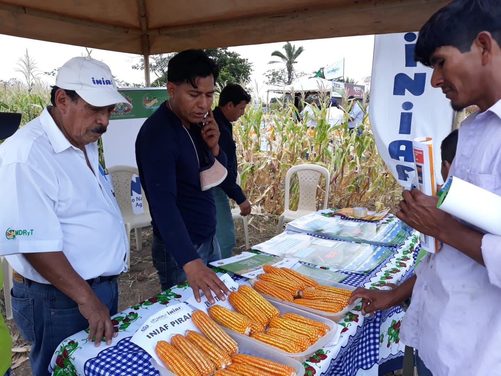 INIAF celebra su 13 aniversario de creación con resguardo de 19.766 acepciones en bancos de recursos genéticos