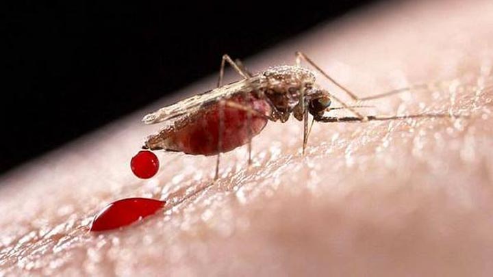 Gobierno inicia plan de protección contra la malaria para madres gestantes que agudizan su vulnerabilidad ante la pandemia