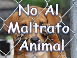 Defensoría del Pueblo condena biocidio y maltrato animal