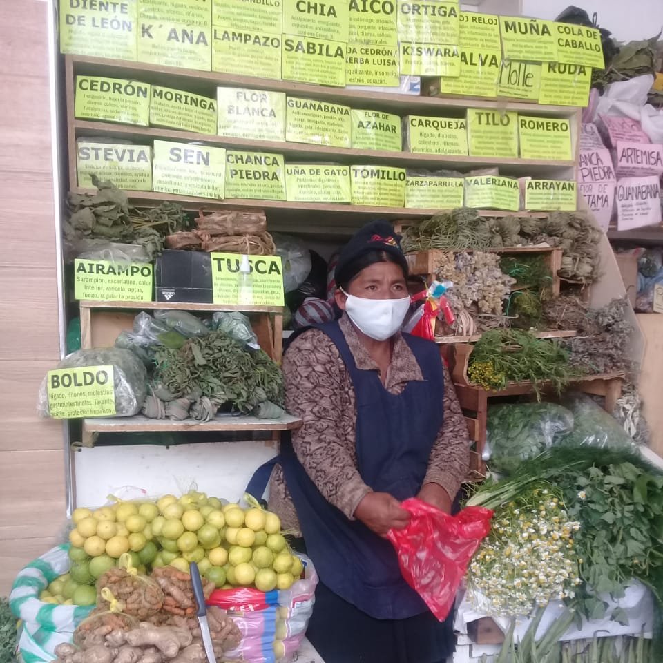 El matico en mates y jarabes es la planta más requerida en los Yungas de La Paz para enfrentar al COVID-19