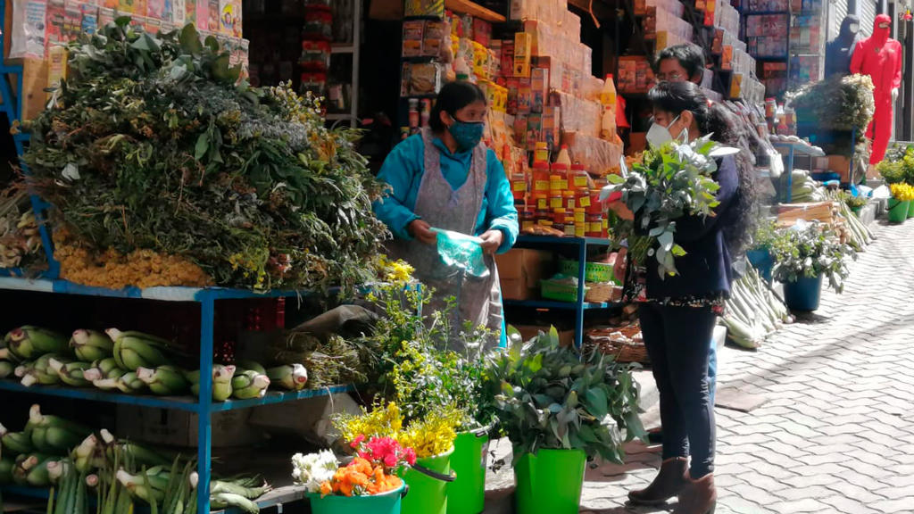 Vicepresidente insta a revalorizar la medicina tradicional para prevenir y tratar el COVID-19