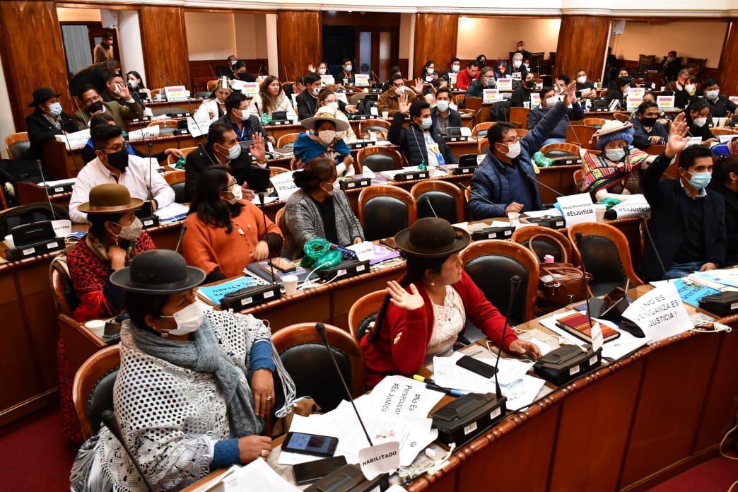Cámara de Diputados aprueba declaración camaral que condena injerencia de la OEA en Bolivia