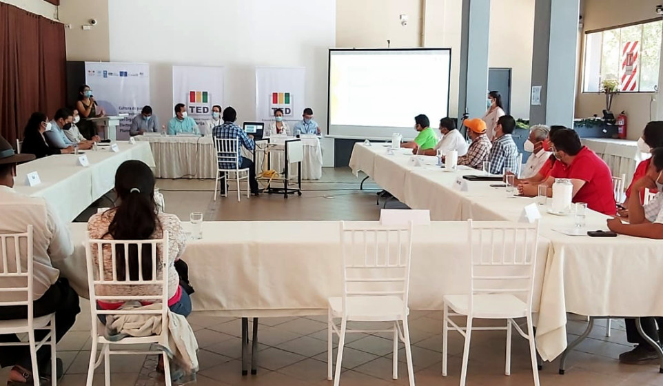 Tribunal Electoral coordina con alcaldías acciones para prevenir contagios de coronavirus en comicios de marzo