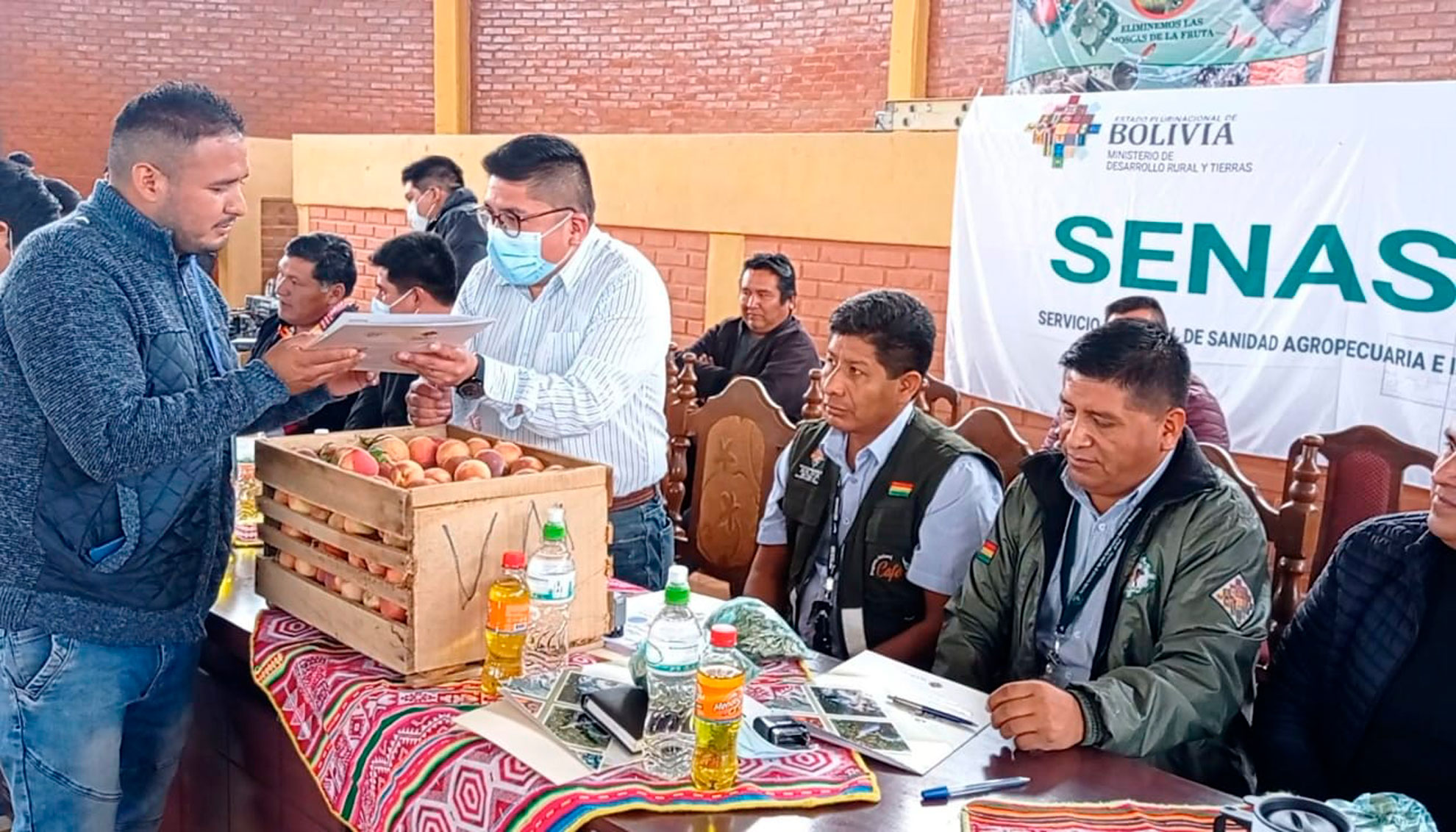 Senasag reduce en 85% presencia de la mosca de fruta en el Valle Alto de Cochabamba y suscribe convenios con 15 municipios de la región