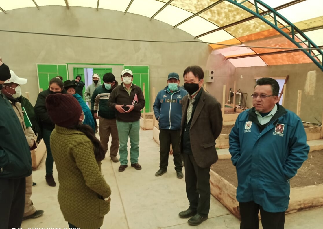 Gobierno implementa acciones para potenciar la producción de papa en Chuquisaca